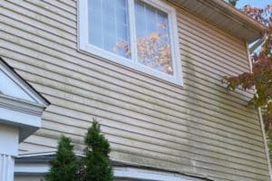 Residential Window Cleaner